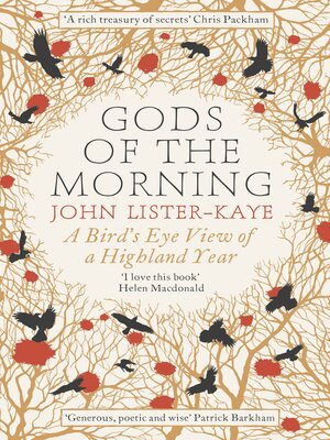 cover image of Gods of the Morning